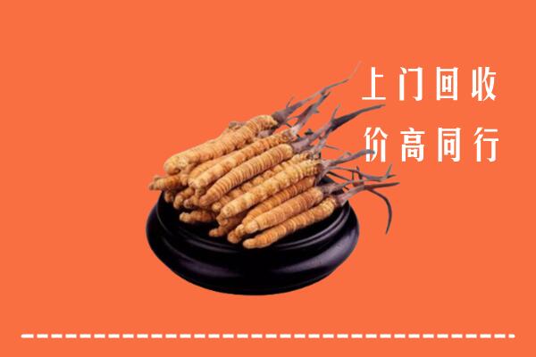 高价求购：通州区回收散虫草