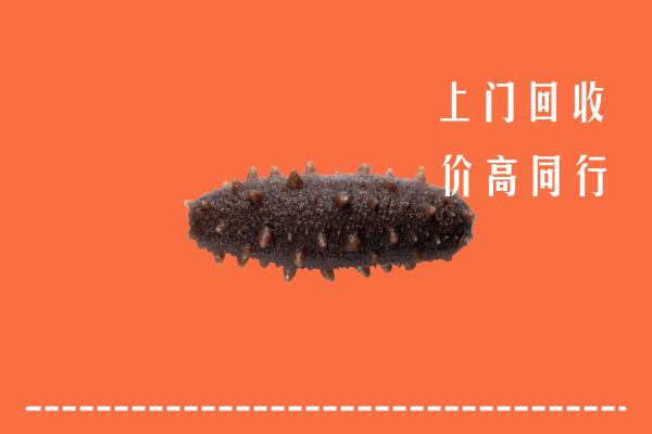 通州区回收海参
