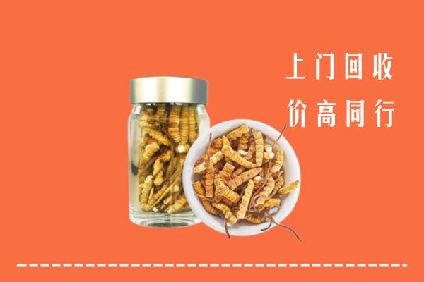 通州区回收冬虫夏草